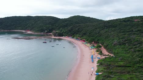 bird's eye view establishing tartaruga beach, búzios, brazil with umbrellas on the sandy beach, lush mountain of a tropical climate