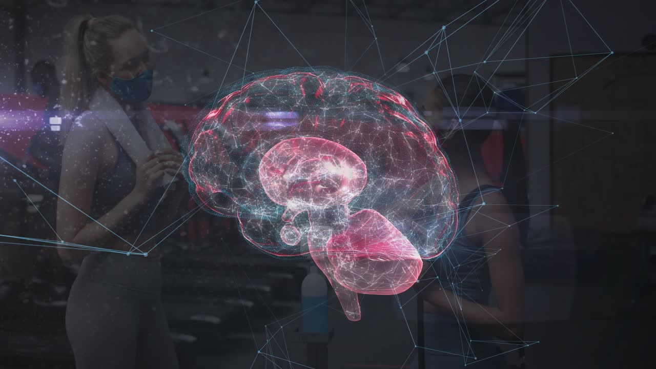 AR app activating holographic brain in gym, two women watching rotation showing brain structure