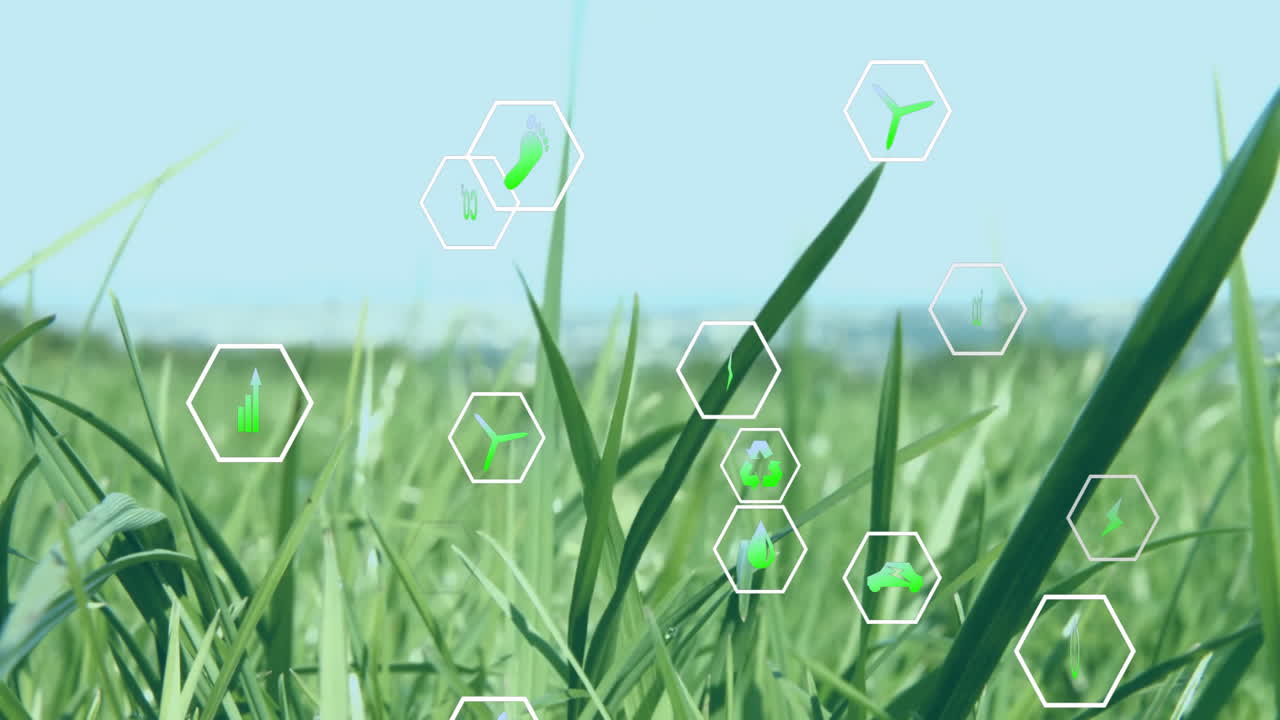 Swaying grass blades filling foreground, displaying semi-transparent hexagonal sustainability icons