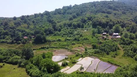 green hills mountain forest and rice paddy agriculture farm field the muddy pond farmer seedling in mud natural landscape of irrigation in riverside in iran wonderful scenic natural tourist attraction