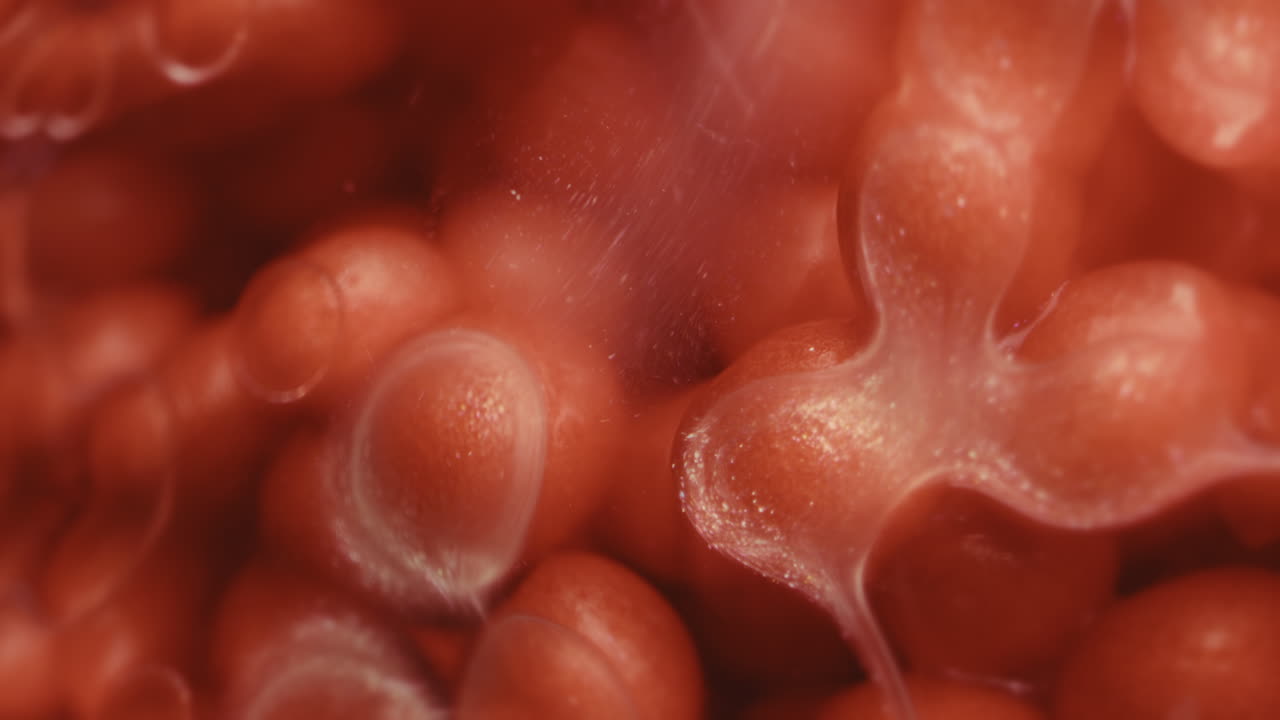 Close-up view of pomegranate seeds