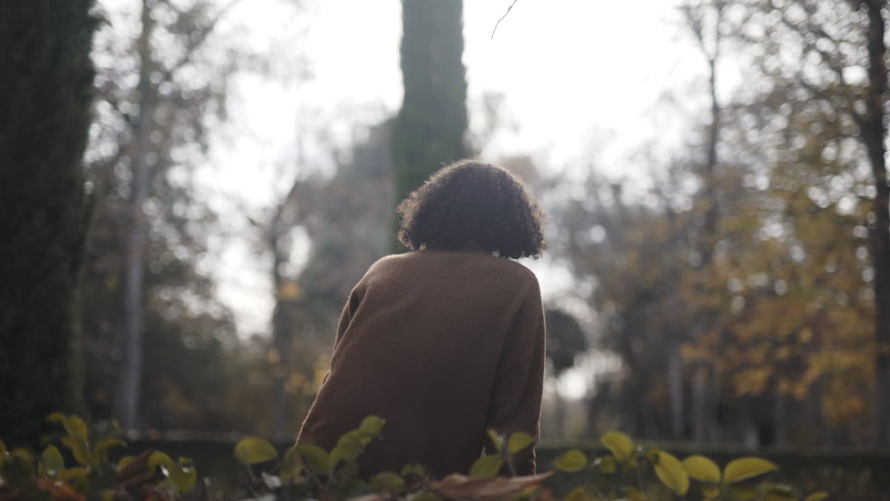 Spending time in solace in the woods autumn season
