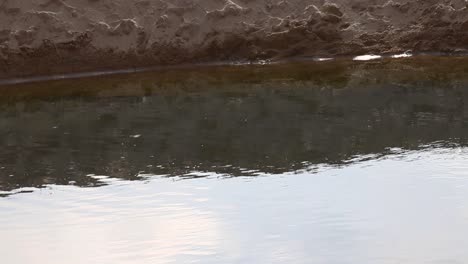 Ein-Malerischer-See-Am-Sandstrand,-Der-Badegäste-In-Seinem-Kristallklaren-Wasser-Zum-Abkühlen-Einlädt