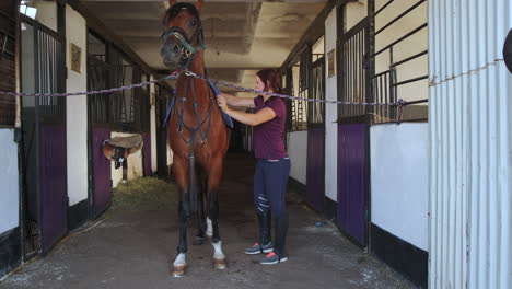 woman grooming a horse in a stable