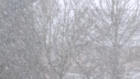 Kalte-Winterliche-Schneefallszene