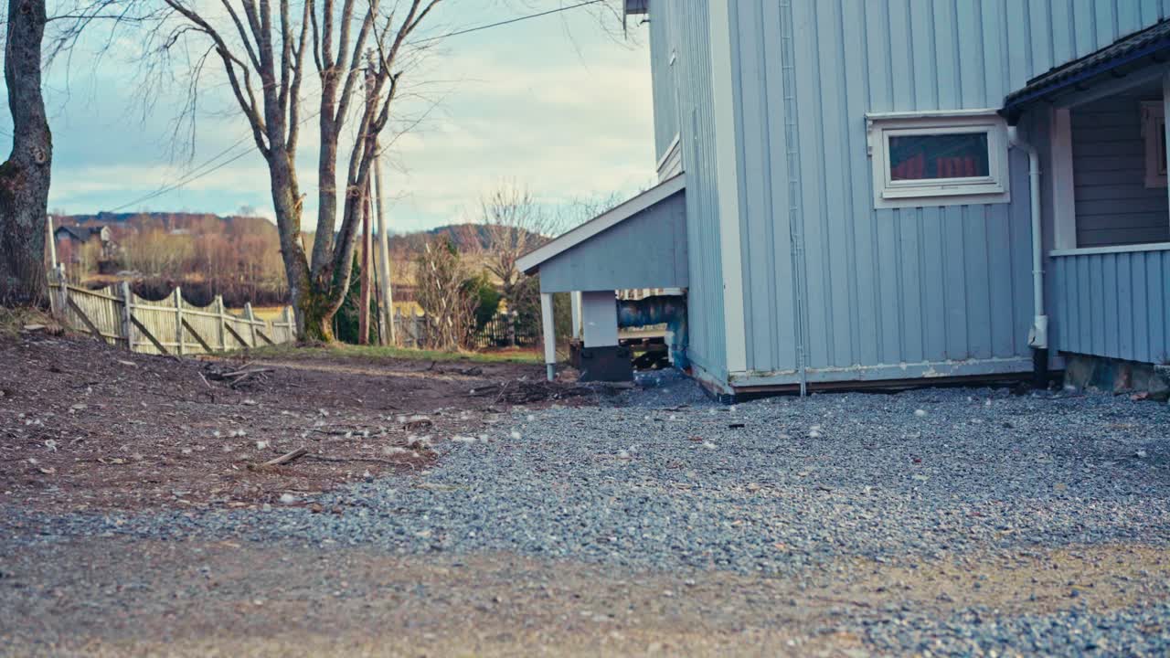 Tufts of Dog Hair Drift on the Wind Beside a Farmhouse in the Countryside - Static Shot
