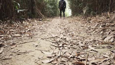 Young-man-with-a-backpack-on-holiday-walking-on-a-mountain-trail---wanderlust-travel-concept-with-sporty-people-at-excursion-in-wild-nature