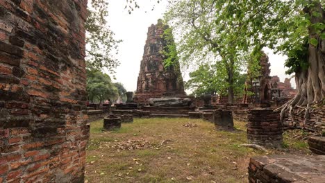 touring through historic temple ruins overgrown with trees