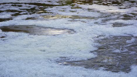 Schäumende-Flussblasen-Funkeln-Im-Abendlicht-In-Einem-Hochwassernahen-Fluss