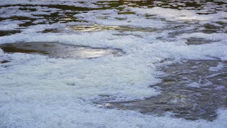 foaming river bubbles sparkle in the evening light in a river close to flooding