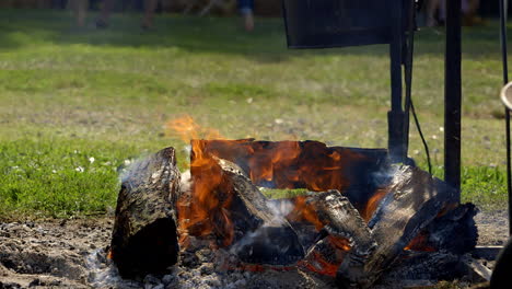 a fire cooks a pig at an outside picnic