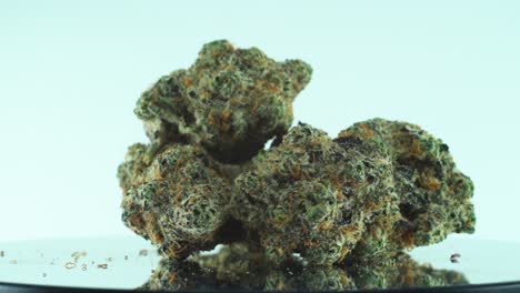 close up shot of a marijuana sativa super lemon haze flowers, green and purple, on a reflecting 360 rotating stand, slow motion 4k video