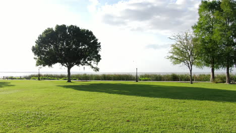 Landing View into Florida Lake Side Park, Lake Apopka on a Spring Afternoon