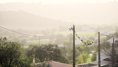 birds sit on a electric high wire with sunset landscap in the background