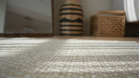 cozy room with woven rug and baskets