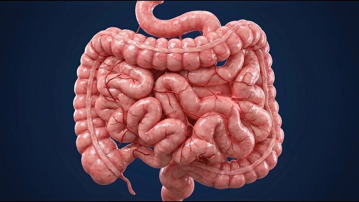 Detailed anatomical render of cell structure with glowing highlights