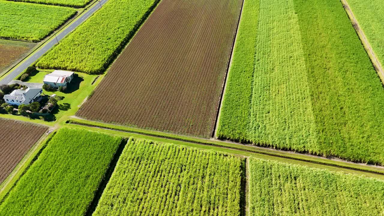 Drone footage captures expansive agricultural fields and farmhouses under bright sunlight, showcasing the vibrant landscape of New South Wales, Australia
