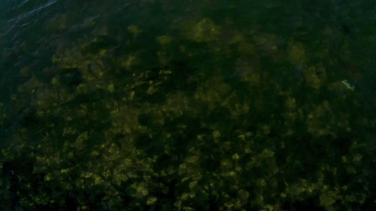 카메라가 만과 도시 배경을 드러내면서 화면을 가로지르는 극명한 대비와 색상 흐름