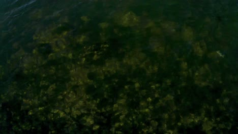 marcado contraste y flujo de color en la pantalla a medida que la cámara revela el fondo de la bahía y la ciudad
