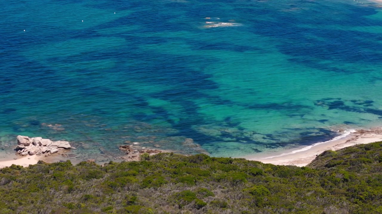 Vista aerea di mare turchese limpido, costa rocciosa e rigogliosa vegetazione costiera