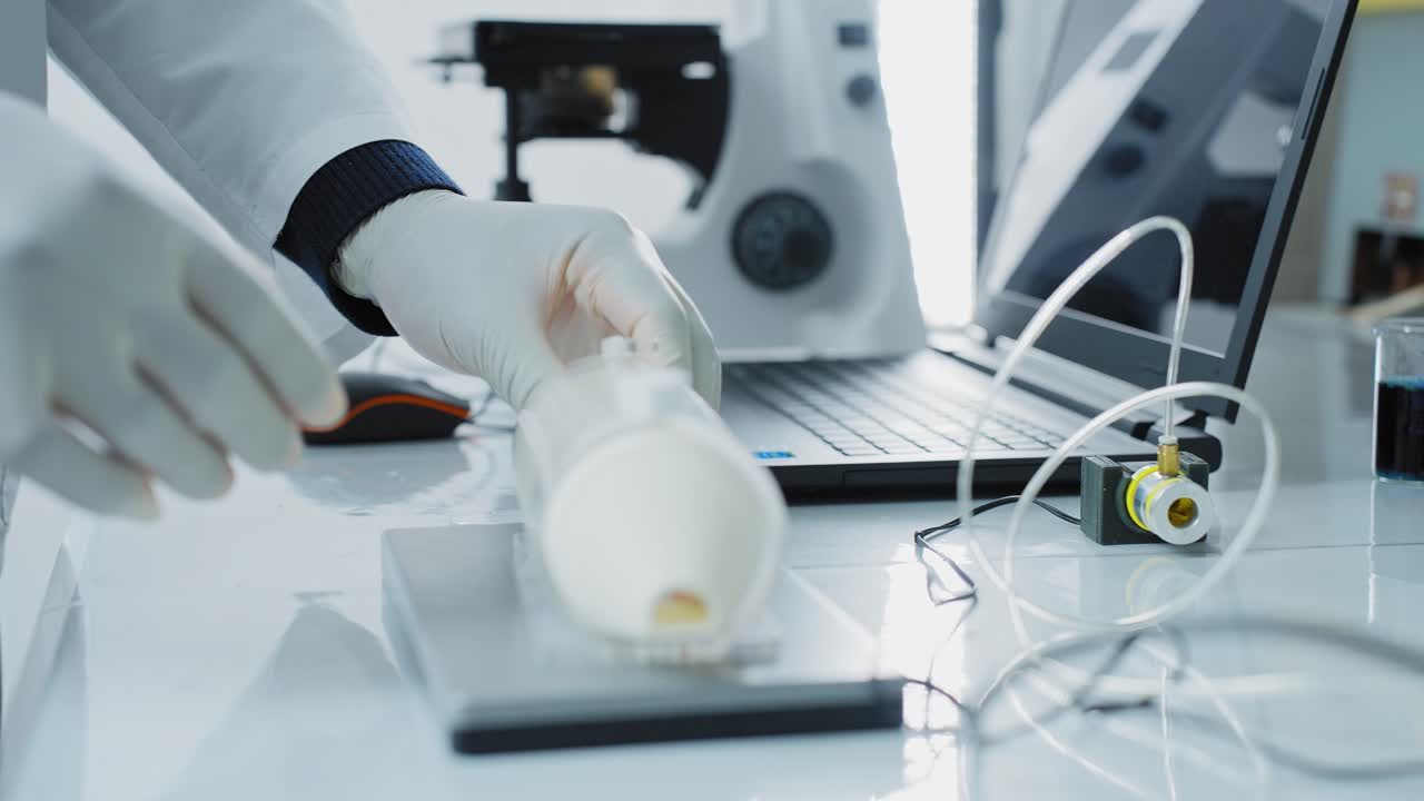 Rat Experiment in Laboratory Setting