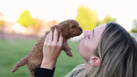 blonde caucasian woman kissing and snuggling cute newborn doodle puppy dog