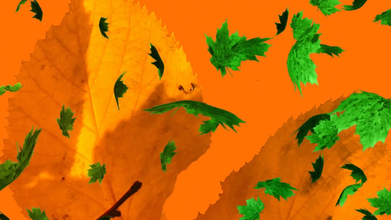 animación de varias hojas de otoño que caen sobre un fondo naranja