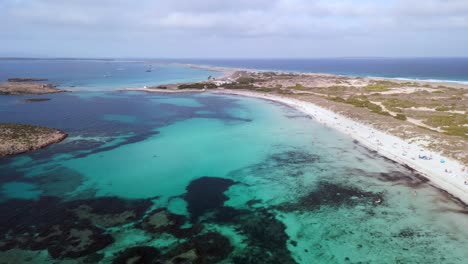 algae in turquoise blue sea