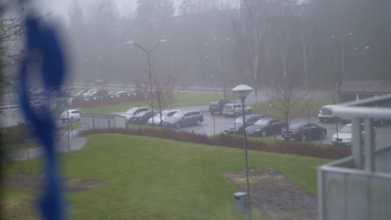 розовые и голубые цветы орхидеи у окна квартиры с парковкой на заднем плане в туманный осенний день, ручная фокусировка панорамной стойкой