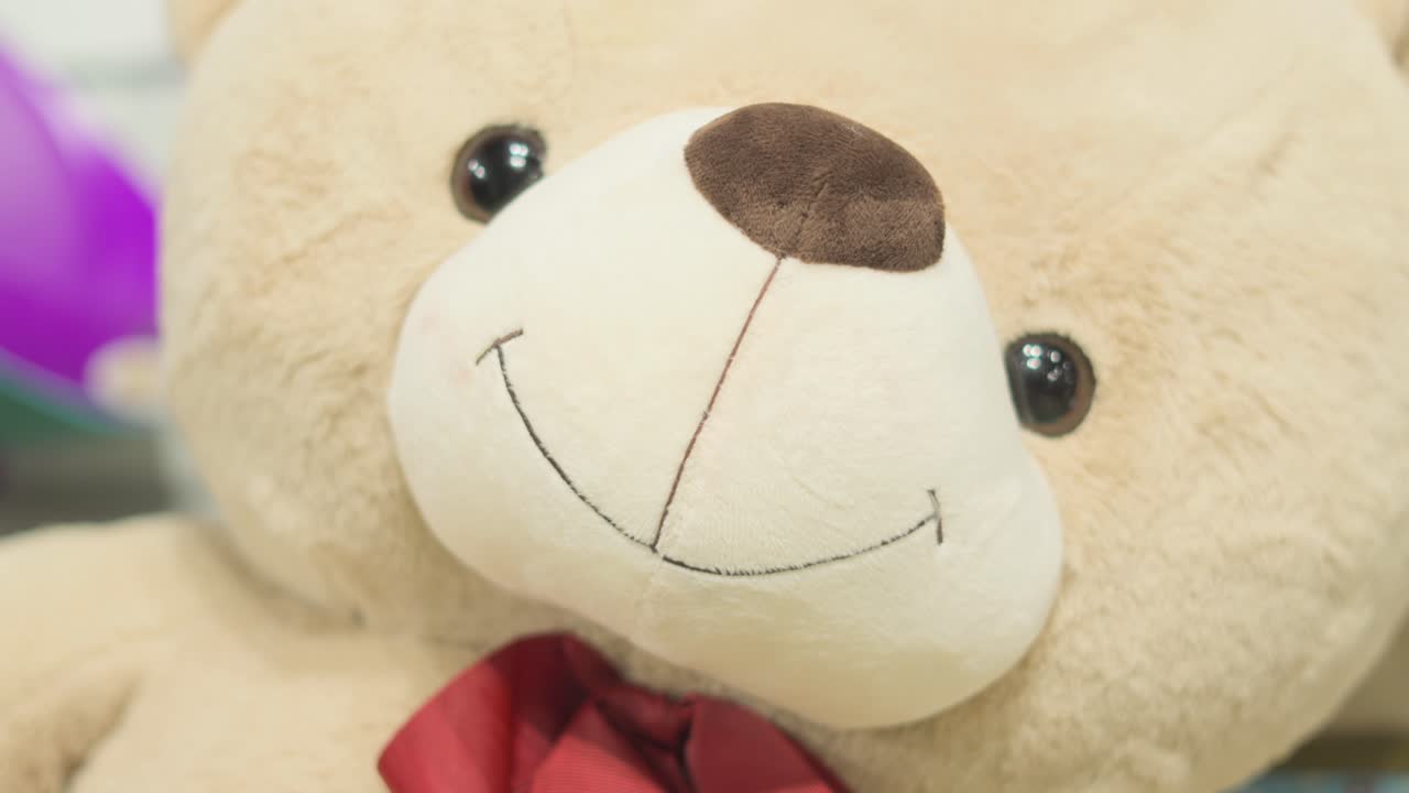 테디 베어 코와 눈 클로즈업 뷰