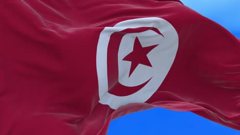 seamless loop of tunisia flag.