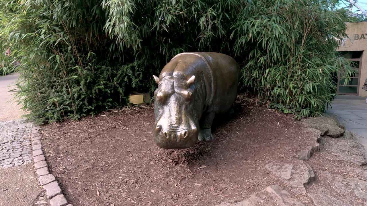 A stationary brass hippopotamus statue stands near lush greenery on a zoo pathway in Berlin, captured with steady camera movement and natural daylight