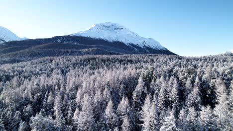 Aerial-reveal-of-snow-covered-mountain-landscape-with-forests-on-a-sunny-day-in-Switzerland