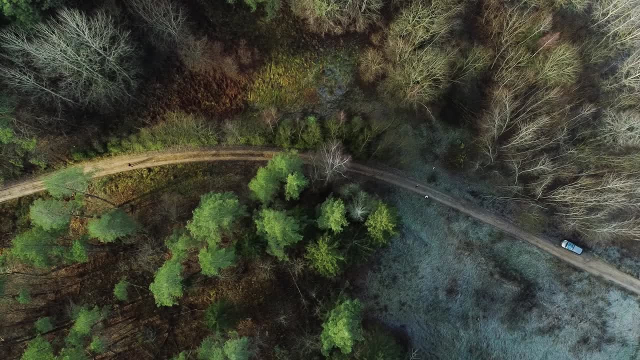 Forest road with a car parked in the side in aerial drone moving shot