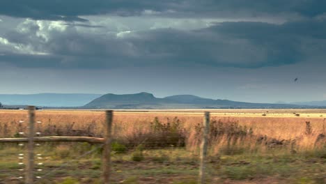 Wide-shot-of-the-savannah-in-Kenya,-Africa