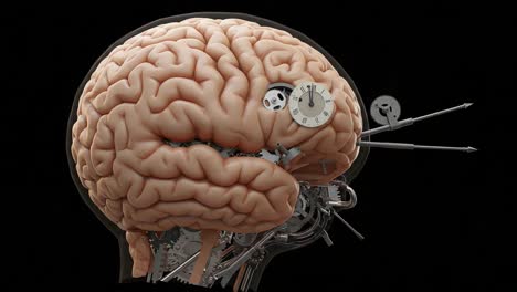 an intricate illustration of a mechanical brain featuring gears, clockwork, and exposed interior, blending organic and industrial elements in a unique art design