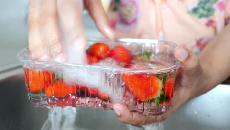 washing strawberries