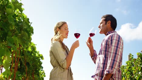 happy couple having a glass of red wine in field