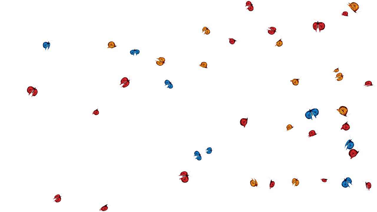 Beautiful colored butterfly morpho menelaus flying and sitting on white and green backgrounds nature