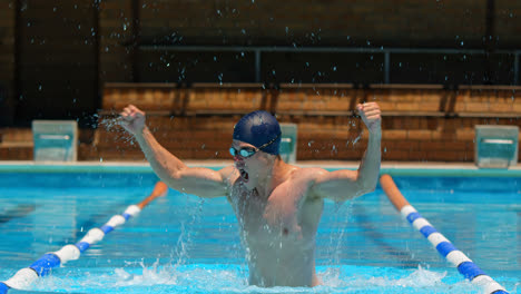 male swimmer react after winning the race 4k