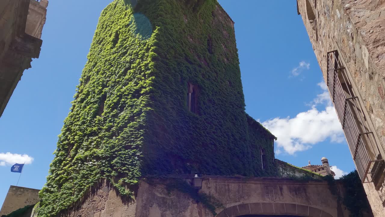 Medieval gothic green foliage covered tower of Torre de Sande in the old town of C&aacute;ceres, Spain