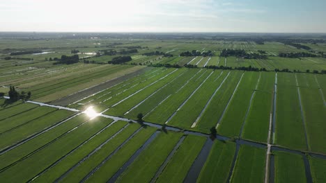 Weite,-Hohe-Luftaufnahme-Von-Parallelen-Kanälen-Und-Bewässerungsgräben-In-Einem-Polder,-Mit-Vielen-Kleinen-Slagenlandschap-In-Diesem-Tief-Liegenden-Gebiet-Der-Niederlande