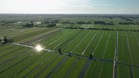 wide high aerial view of parallel canal and irrigation ditches in a polder, with many small slagenlandschap in this low lying area of the netherlands