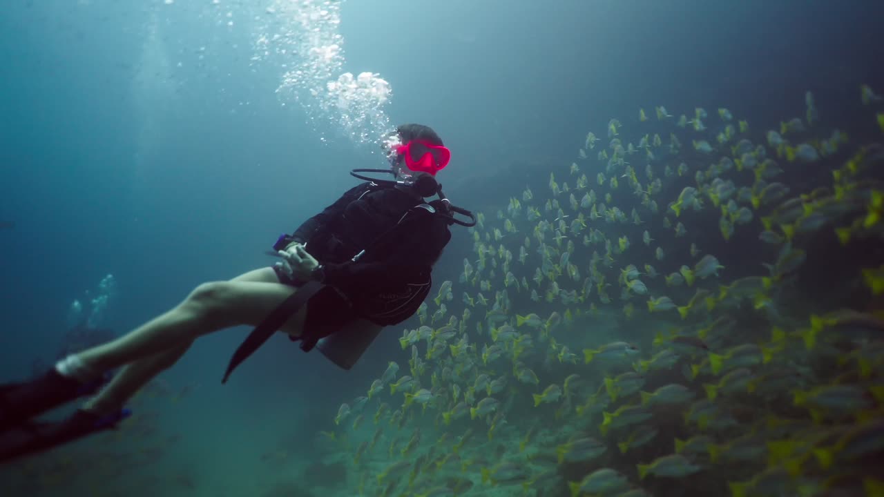 Scuba Diver Swimming Among a School of Fish Underwater