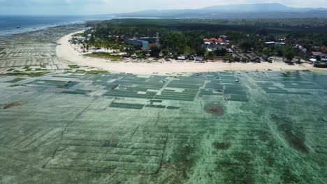 granjas de algas marinas y paisajes costeros pintorescos en nusa lembongan