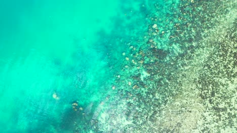 Rocks-and-corals-under-calm-clear-water-of-turquoise-lagoon,-beautiful-sea-texture-on-seaside-of-Indonesia