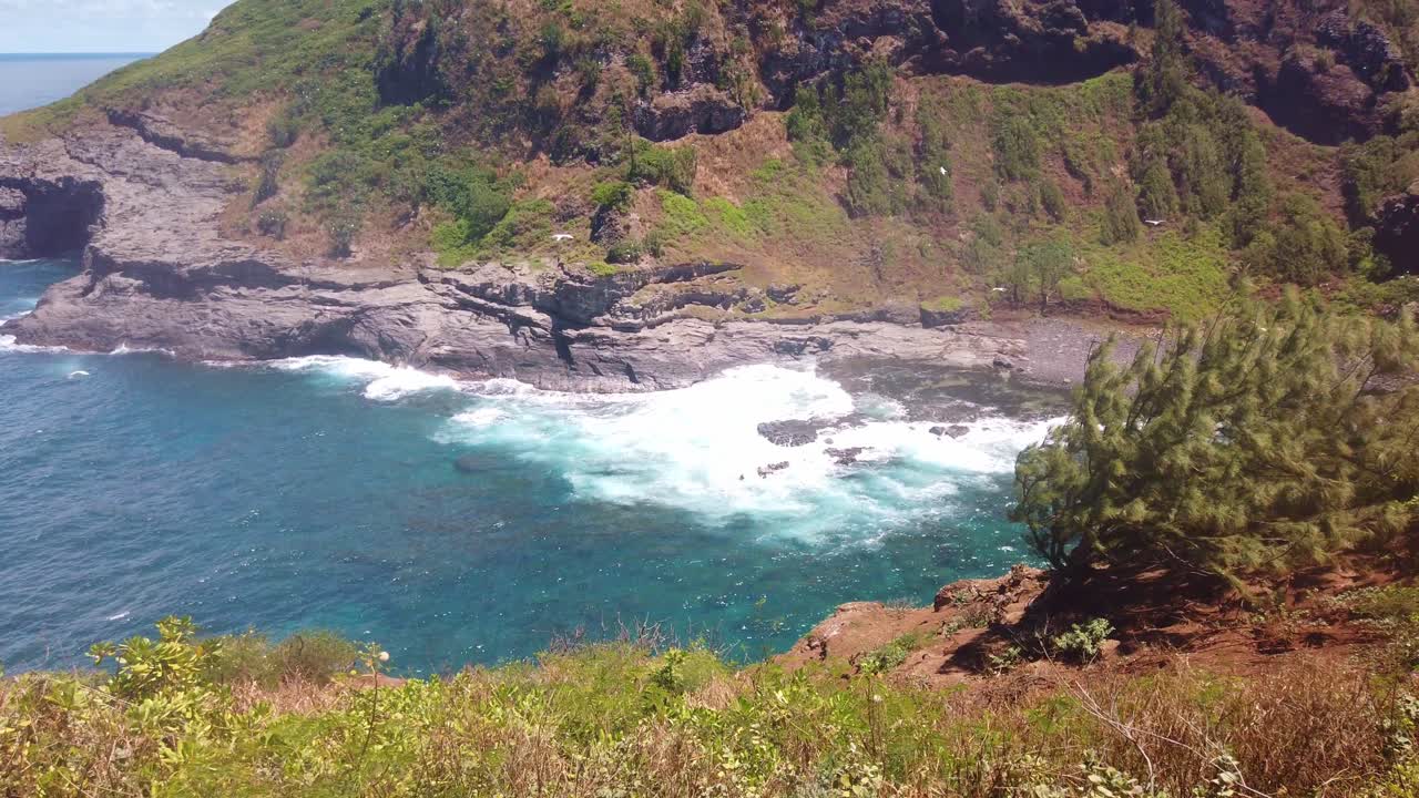 Gimbal wide booming up shot of seabirds flying around the rocky shores of Kilauea Point on the island of Kaua'i in Hawai'i