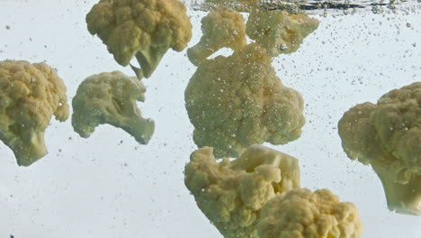 fresh cauliflower floating water super slow motion closeup. cabbage underwater