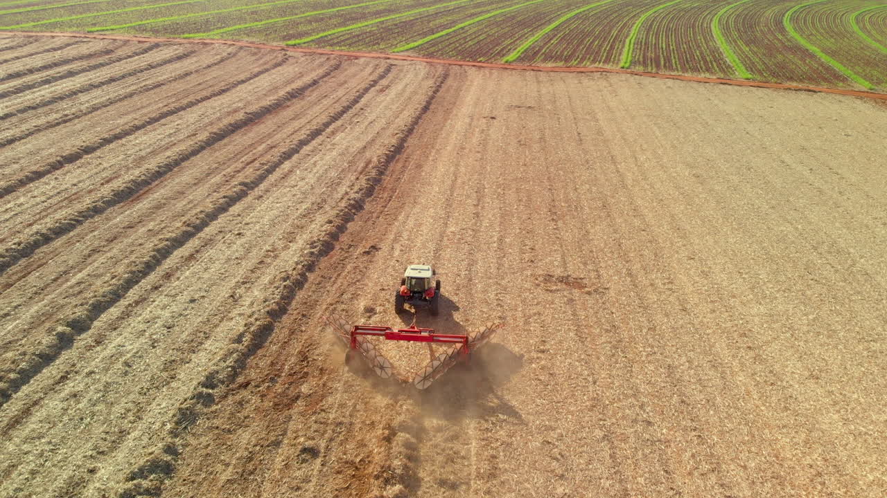 Tractor raking sugar cane straw in the field