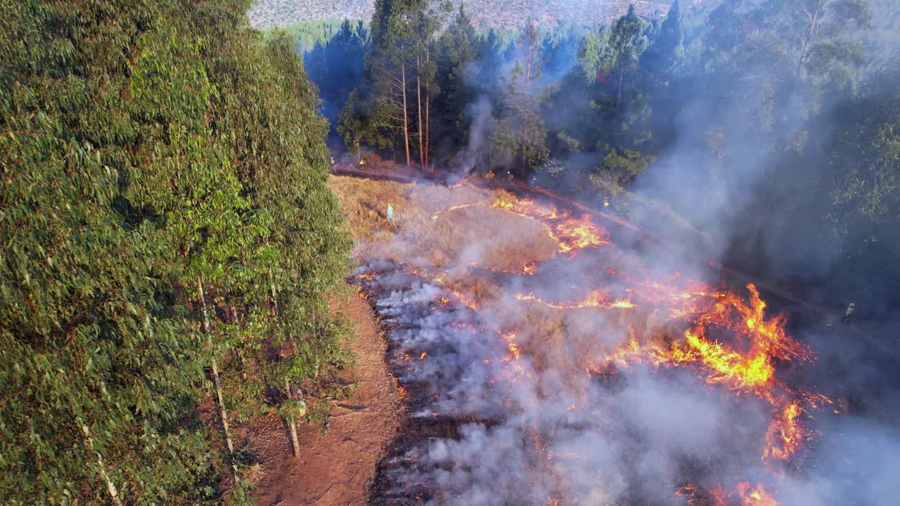 Forest firefighters create fire break corridor, flames fight flames